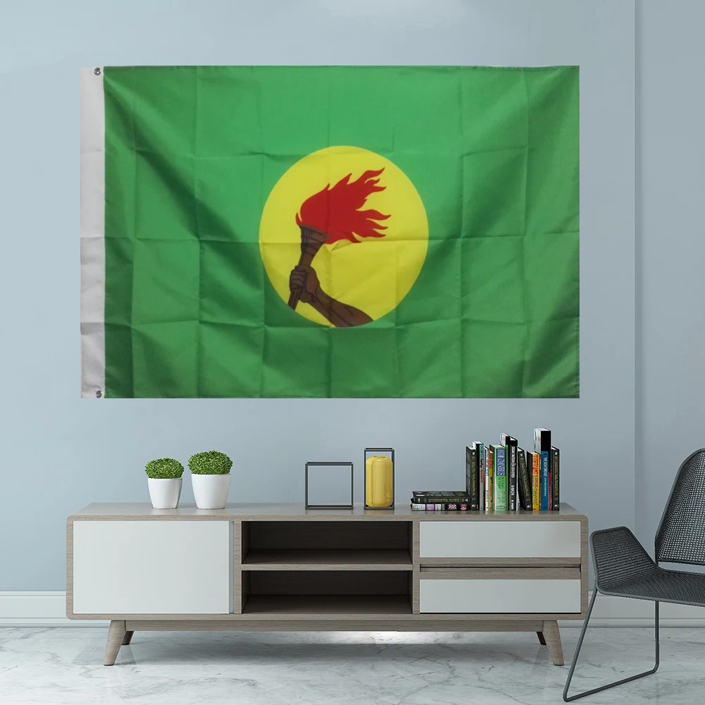 Флаг Заира, графический подвесной баннер с индивидуальным принтом, украшение для улицы, люверсы из полиэстера с крышкой вала, 3x5 футов, 90x150 см