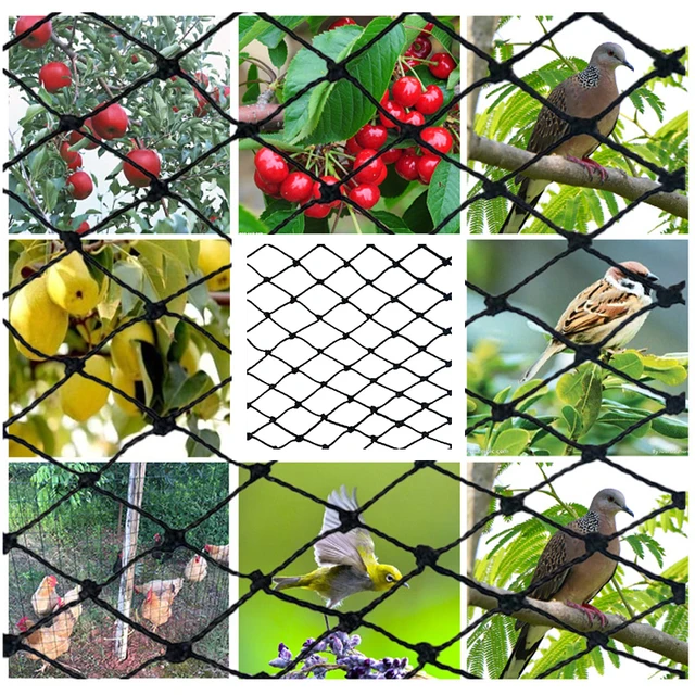 1 Pc Fekete Madárháló Tó Nettó Védelmi Fa Növények Gyümölcsök Zöldségek Védelem Háló Kert Otthon 7,5 *15M - Image 5