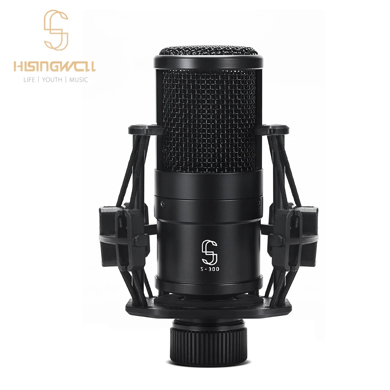 HISINGWELLS300MicrophoneCondenserProfessionalMicrophoneHome