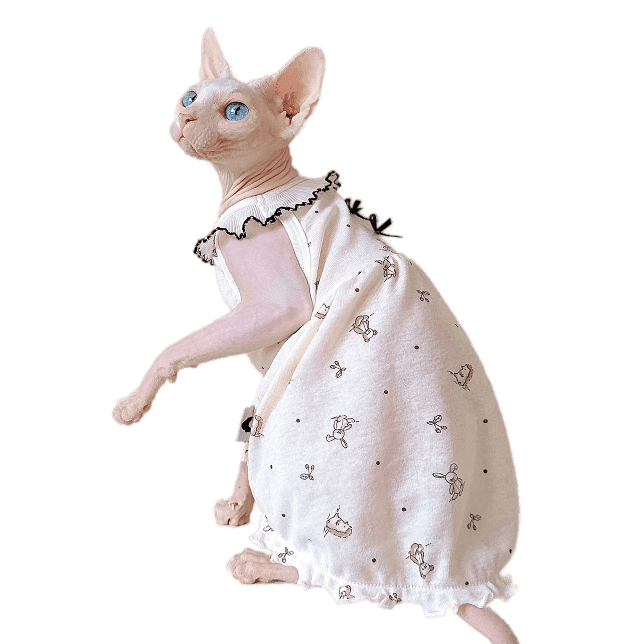 2023 Cotton Pet Dress Summer Sphynx Hairless Cat Clothes for Cat Devon