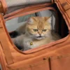 Cat Backpack Carrier, Expandable Pet Carriers for Cats,Hiking Travel Carrier Bag for Small Animal, Airline Approved Cat Carrier 2