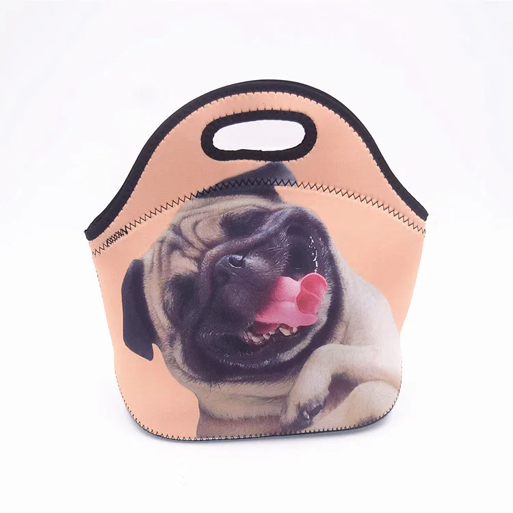 Thermal Insulated Print Neoprene Lunch Bag for Women Kids Lunch Bags Cooler Insulation Box Food Bag