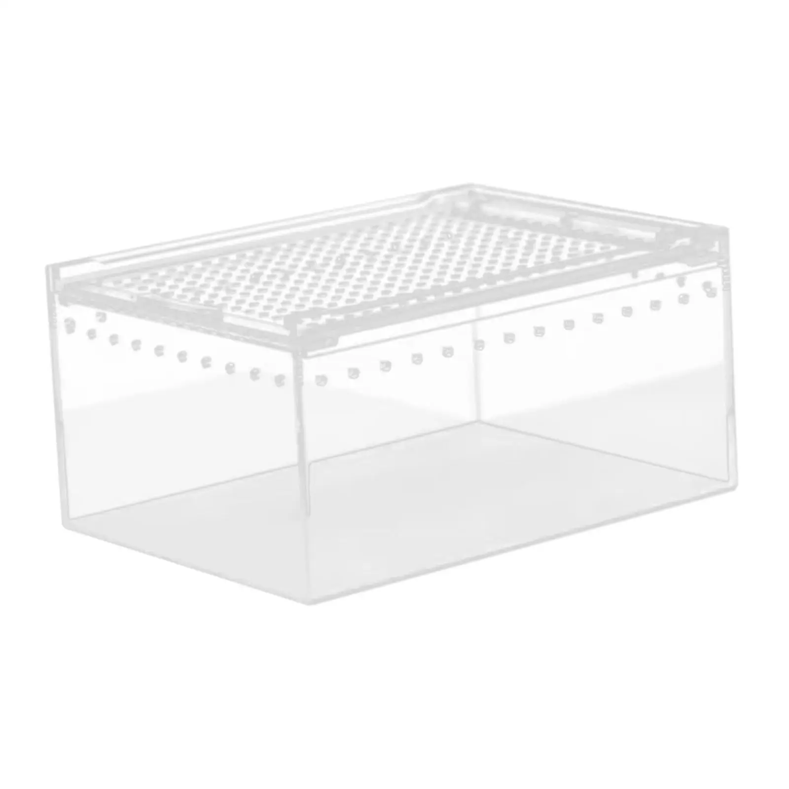 Reptile Feeding Box Animal Habitat Cage Transparent Reptile Terrarium Enclosure Cage for Chameleons Hermit Crabs Container