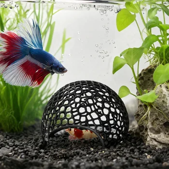 Mini Shrimp Cave Hideout 1