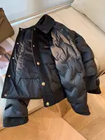 Manteaux matelassés en coton pour femmes, veste légère à col rabattable, à la mode, pour l'automne et l'hiver, vêtements d'extérieur chauds pour femmes 1
