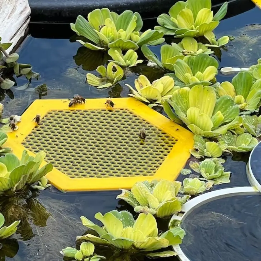 3D Printed Floating Bee Island Bee Water Catcher Cups and Butterfly Water Stations for Garden
