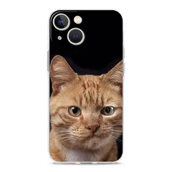 Luxury Clear Shockproof Phone Case with Cartoon Cute Cats Design - iPhone 12 (B1)