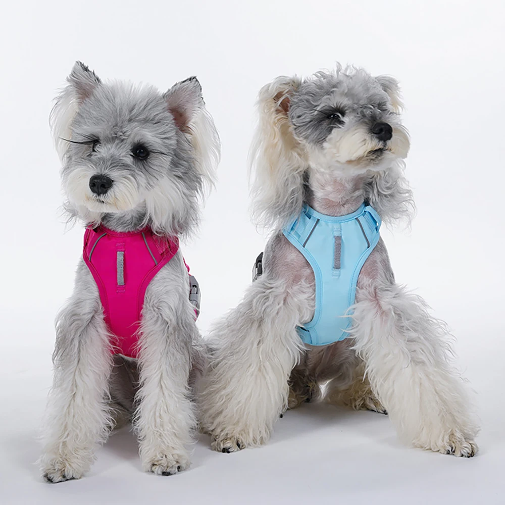 Pettorina per cani robusta con dettagli riflettenti_voghion.com