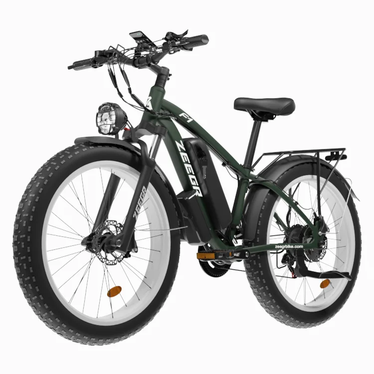 Fabbrica Diretta 26 Pollici 48V 1000W Motore Ebike Zeegr Bicicletta Potente Mountain Bike Elettrica Dirt Bike Fat Tire Bicicletta Elettrica