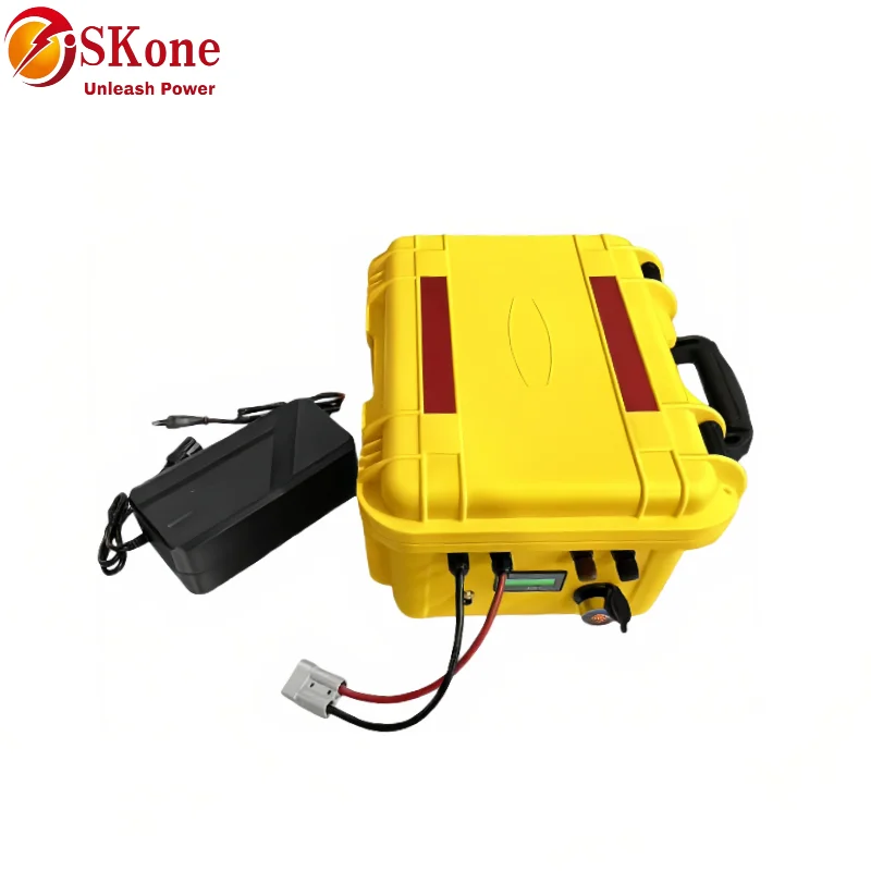 SKone12V 24V 100Ah 120AH 150AH 200AH 300Ah 400Ah Lifepo4 lithium iron phosphate