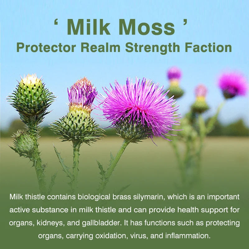 Milk Thistle + Dandelion Capsules Liver Detox and Cleanse Improves Digestion Antioxidant liver detox supplement
