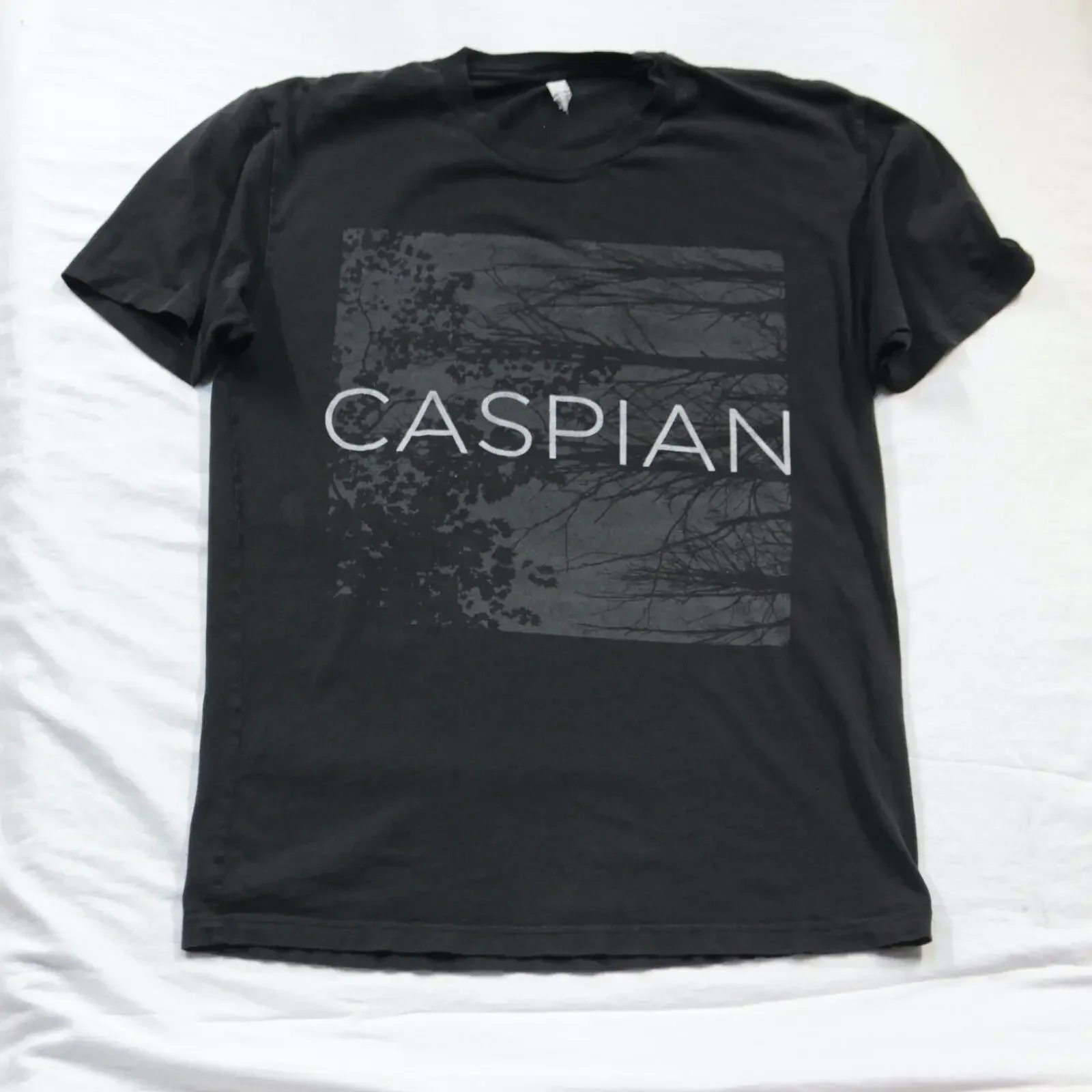 

Футболка с надписью «Caspian Band», почтовый концерт, тур, Мерч, Массачусетс, индий, размер М