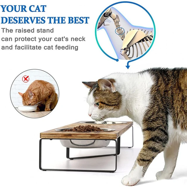 Feral Cat Feeding Station Elevated visitchile.cl