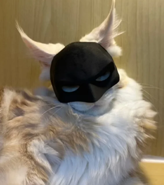 New Bat Cat Avenger Mask 3d Printed Cosplay Costume Helmet Toy Halloween Party Headwear Pet Dog Mask Helmet Prop New Bat Cat Avenger Mask 3d Printed Cosplay Costume Helmet Toy Halloween Party Headwear Pet Dog Mask Helmet Prop