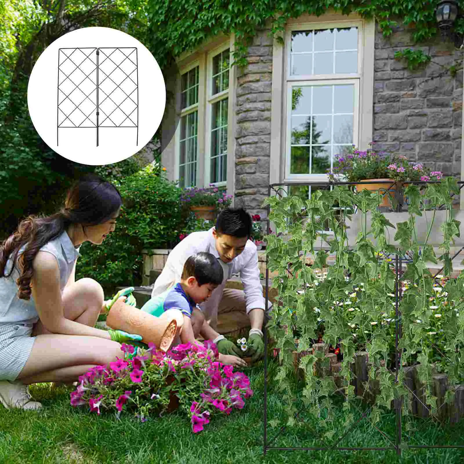 

2 Pcs Climbing Vine Stand Outdoor Decor Flower Garden Trellis Plants Scaffolding Metal Rack Iron Support Gardening
