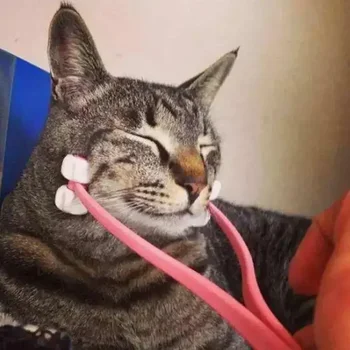 Multifunction Cat Thin Face Massager Pet Interactive Massage Feet Leg Massager Health Grooming Tool for Cat Pet Comfortable 5