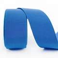 RoyalBlue