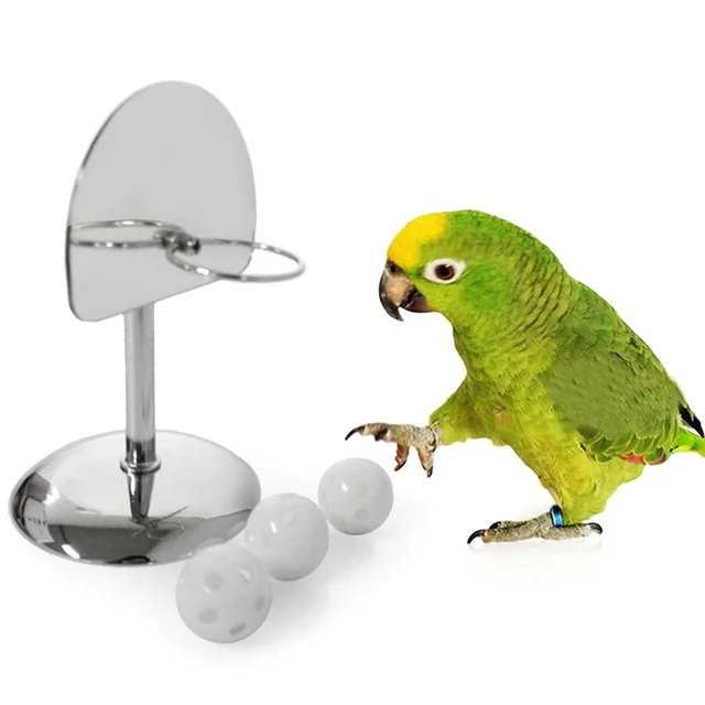 Bird Parrot Basketball Hoop Props Toy Parakeet Balls Puzzle Game Chew Play Toys Pet Bird Supplies 1