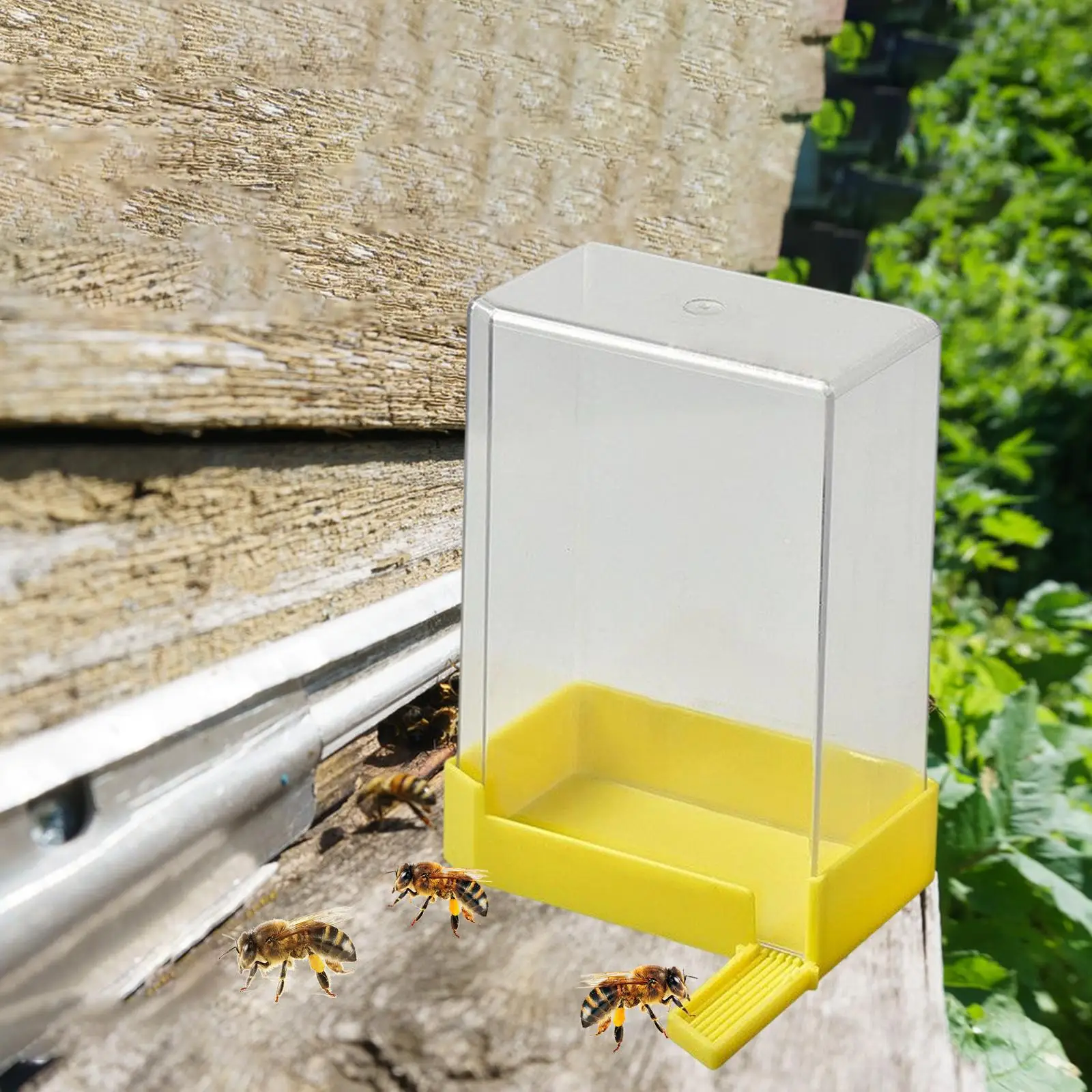 

Bee Feeder Beekeeping Tools Easy to Clean Supplies Professional Clear Honey Beehive Entrance Feeder Bee Water Feeder for Outside