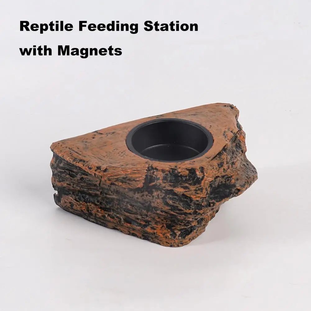 Dual Bowl Feeder Magnetic Feeding Ledge Double Compartment for Gecko Lizards Tree Frogs Chameleons Hanging Food Water Dish