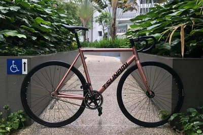 Sd21feef3693b4403b35b6f7e34c66