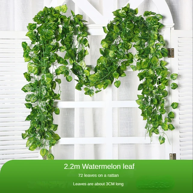 1Pc Watermelon leaf
