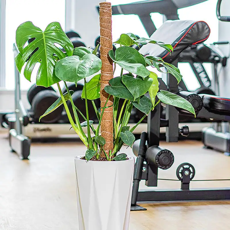 304050cm Natural Coconut Palm Stick Plant Climbing Frame Home Garden Balcony Creeper Support Frame Greenhouse Flower