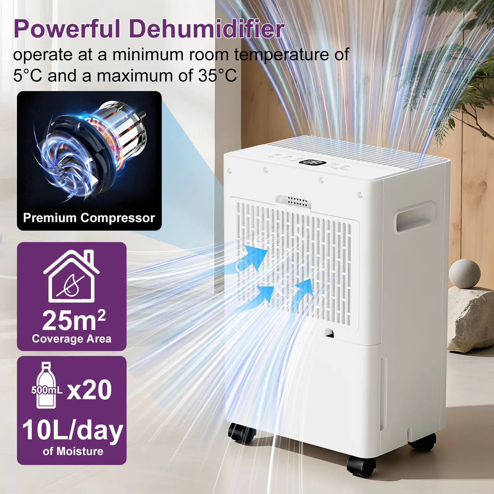 Déshumidificateur LOEFME 10L avec capteur d'humidité automatique, minuterie 24H, 3 modes pour la maison, affichage numérique à drainage continu, mode sèche-linge 4