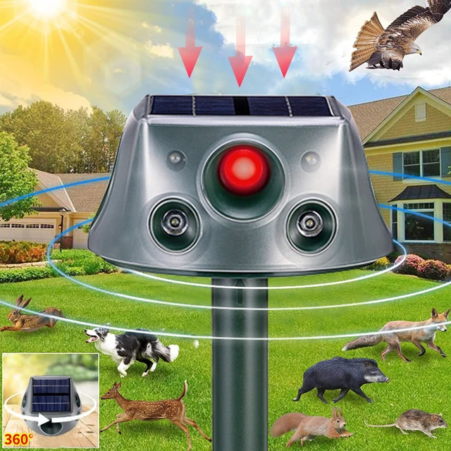 Ahuyentador de pájaros, ahuyentador de gatos verde, ahuyentador de animales  con energía solar, ahuyentador ultrasónico, ahuyentador exterior