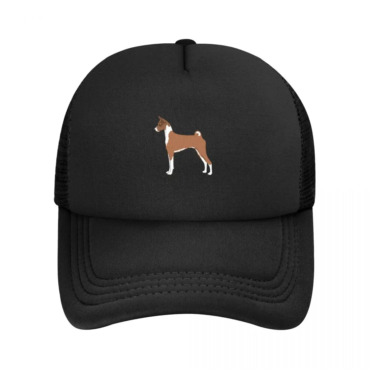 Basenji   ϰ  ߱ , ڽ  ,   ĵ,   , 