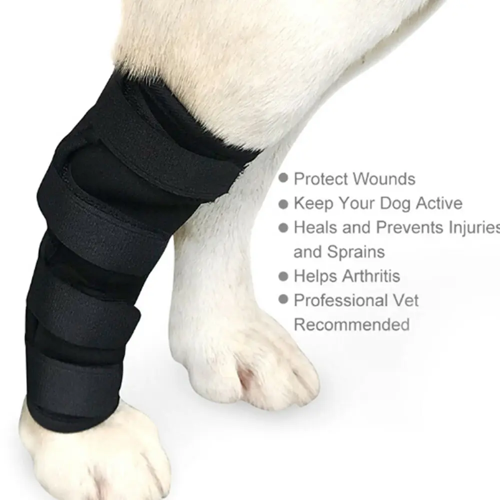 Chien Blesfor la jambe avant Coude Bandage Hygroma initié Bandage SXL