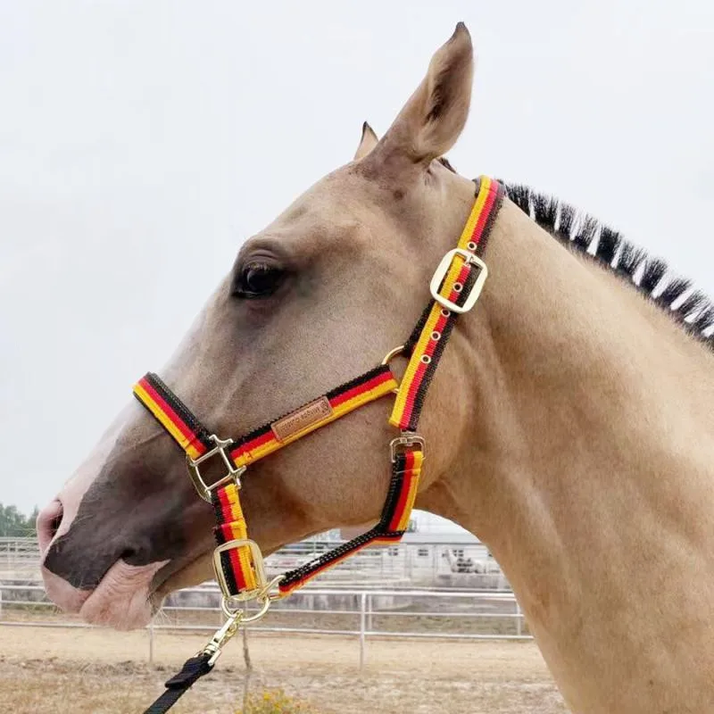 2023 Horse Halter Protective Padded Adjustable Chin and Throat