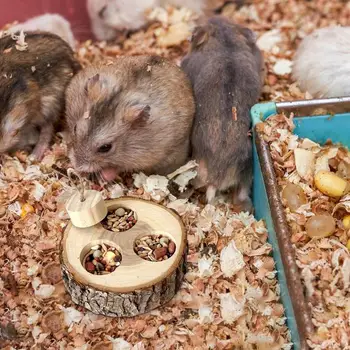 Pet Interactive Snuffle Logic Game Wooden Rabbit Hamster Plaything Foraging Toy Wooden Interactive Enrichment Treat Dispenser 2