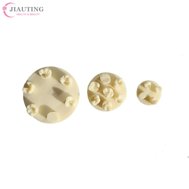 1PCS 레진 치아 형태학 연습 모델 치근관 충전 인레이 레진 모듈 치과 교육 훈련용 레진 모델 도구