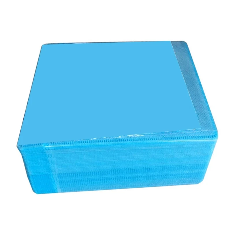서리로 덥은 창 VCD 디스크 커버가있는 100Pcs 12CM 플라스틱 봉투 케이스 보호대 용 보호 슬리브 보관함