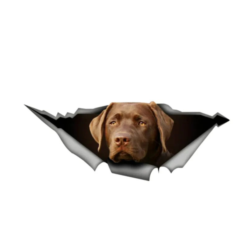 V109 Car Sticker Labrador Chocolate Retriever Waterproof Vinyl Decal
