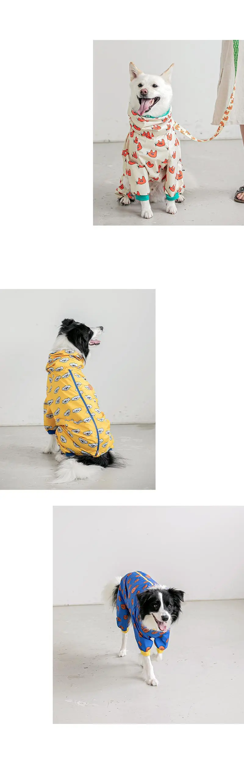 labrador raincoat