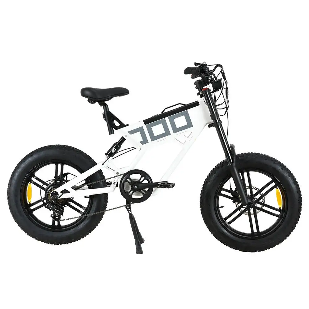 500W Off Road 20 Pollici Bici Elettrica Produttore All'Ingrosso E Bicicletta 20 Pollici Bici Elettrica Grasso Bicicletta Elettrica