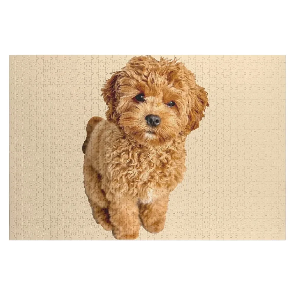 

Cavapoo Jigsaw Puzzle Diorama Accessories Customized Photo Puzzle