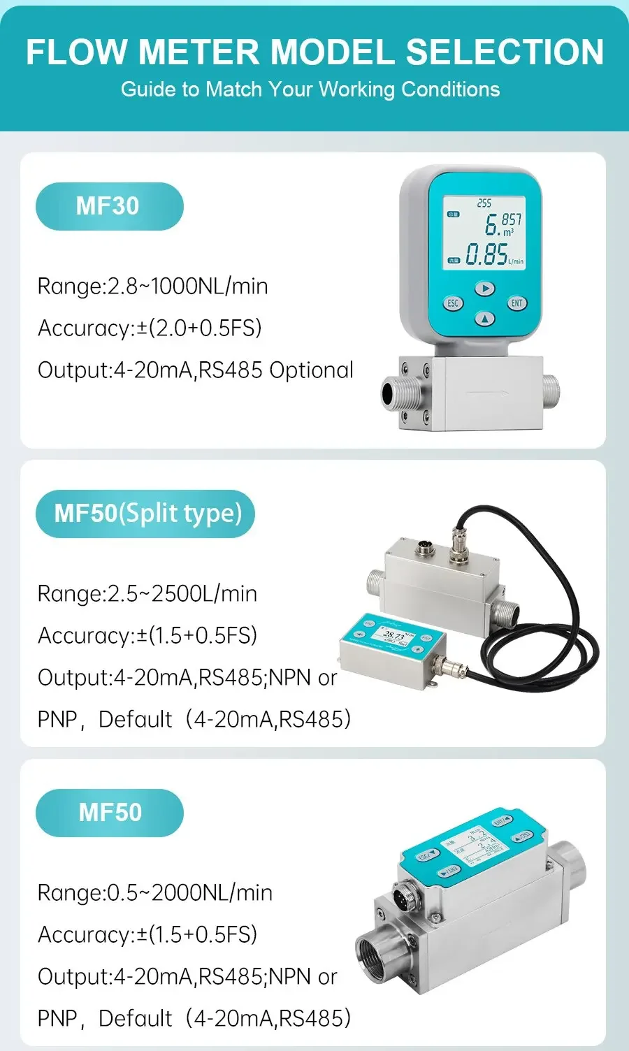 Digital Thermal Mass Flow Meter for Gas - High Accuracy Measurement for LPG, CH4