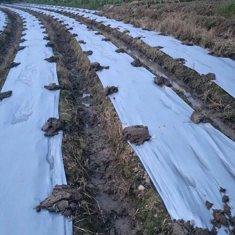 25m, 0.012mm, capa para plantio de frutas e plantas, jardim