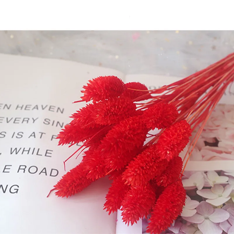 

50 Natural Dried Gem Grass 2022 Home Christmas Decorations Wedding Gifts For Guests Artificial Flowers Christmas Tree Decoration