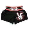Quick-Drying Fighting Training Fighting Professional Shorts Custom Boxing Training Wear Muay Thai Shorts 2
