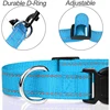 Choker Small Dog Collar Puppy Neck Collars for Dogs Big Decorative Dog Collar GXQ07 2