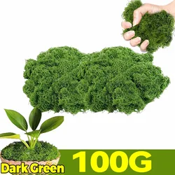 Eternal Life Faux Moss Decor for DIY Craft and Mini Landscape (Dark Green - 100G)