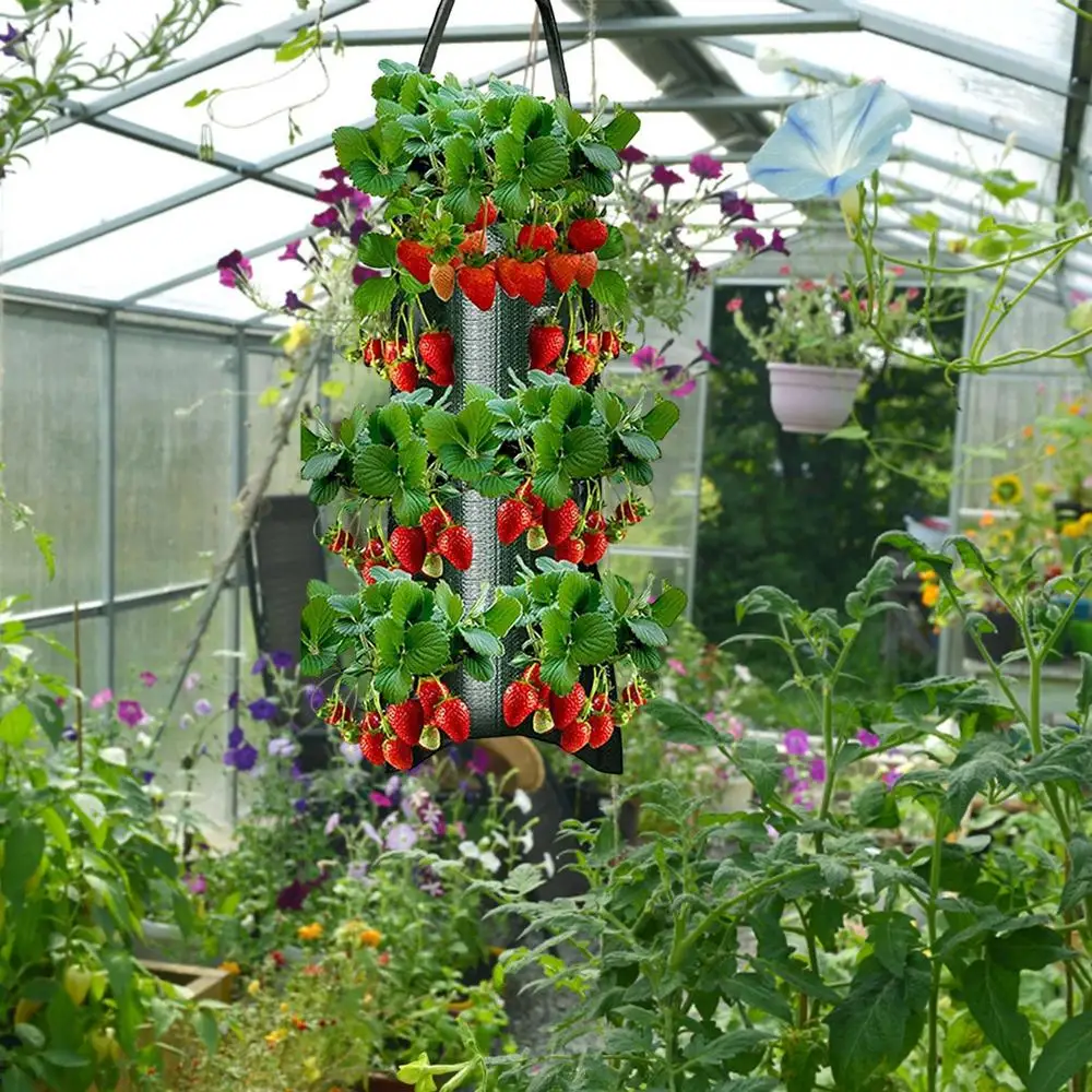 Description Picture 4 of itemMulti-Function Hanging Tomato Grow Bag Upside Down Planter Strawberry Vegetable Flower Plant Grow Bags Garden Plant Pot