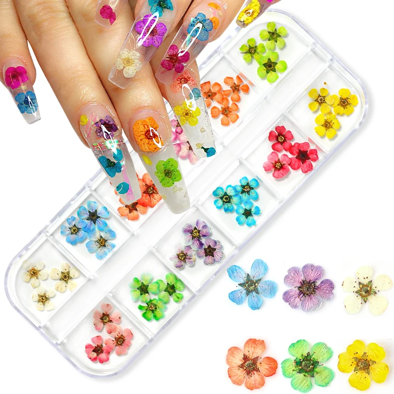 3D Dry Flower Nail Art Decoration Real Mini Dried Blossom Stickers Natural Floral Charms Designs DIY Manicure Nails Accessories