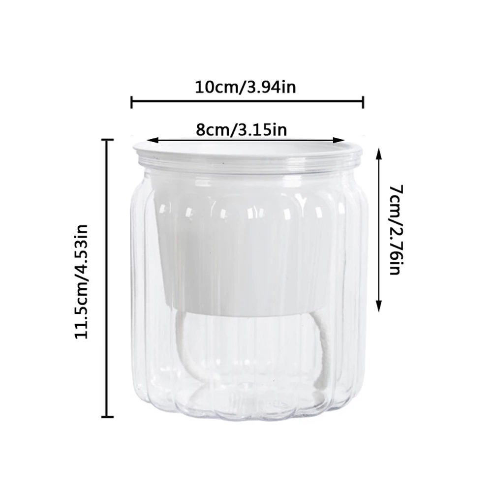 Elegant Self-Watering Transparent Flower Vase