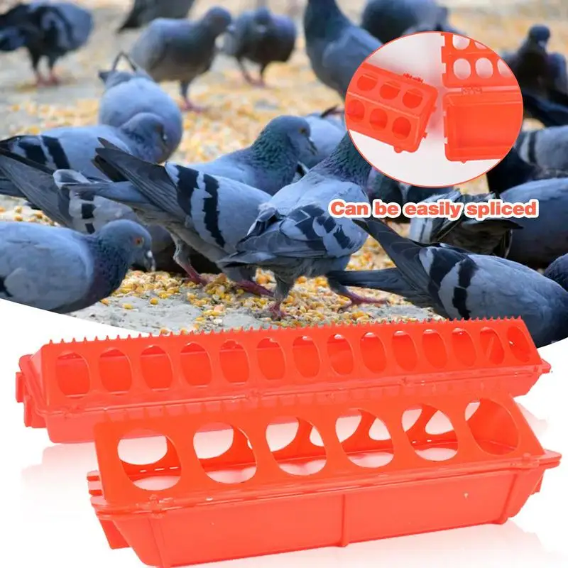 

Plastic Flip-Top Poultry Bird Feeder Chicken Bird Feeder Trough Farming Tool Pheasant Feeding Bucket Quality Chick Pet Supplies