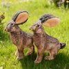 Squeaky Wild Rabbit Pet Chew Toy: Soft Durable Fabric, Safe Teething, Odorless, Cat & Dog Friendly 3